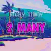 Richy Timmy - 2 Many - Single